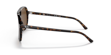 Ray-Ban Sunglasses 0RB2198 902/5756 - Havana