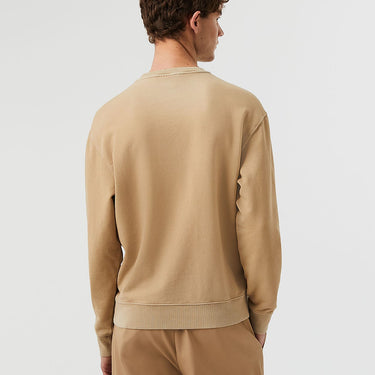 Gradient Crewneck Sweater SORENO V1.Y7.02 Brown / Beige