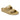 Arizona Essentials EVA Glamour Gold Medium/Narrow