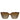 Bvlgari Acetate Woman Sunglass Havana