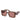 Prada Woman Sunglass Brown Transparent 17O60B