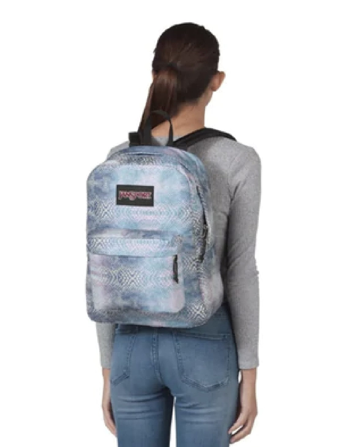 JanSport Ashbury Backpack Prisma Python JanSport Ashbury Backpack Prisma Python